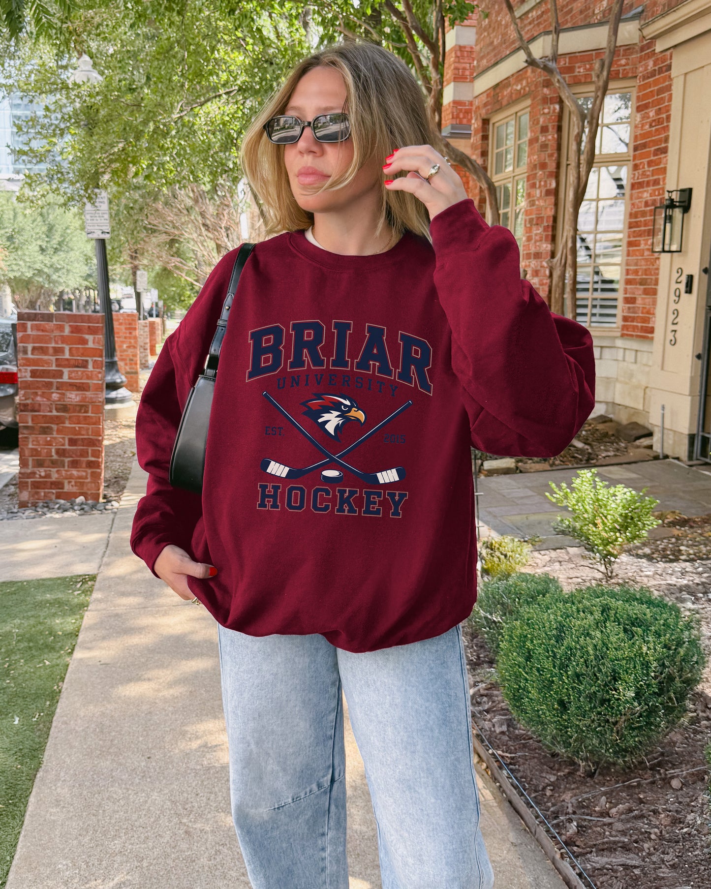 BRIAR HOCKEY COLORFUL
