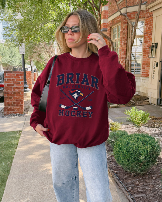 BRIAR HOCKEY COLORFUL